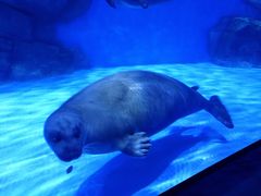 -上海海昌海洋公园-冰山北极馆