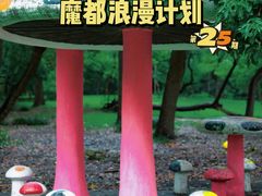 -上海共青森林公园