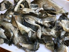 -章记正宗南岗鱼蛋火锅