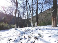 -紫金山山顶公园