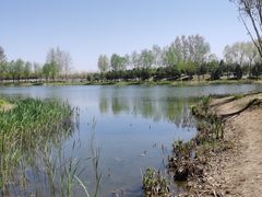 -东郊湿地公园