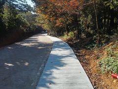 -广州市石门国家森林公园