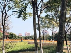 -厦门园林博览苑