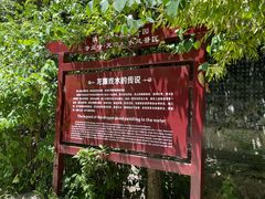 -沣峪森林公园龙潭戏水景区