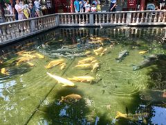 景点-宝墨园景区