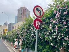 -锡师附小学(学前街校区)