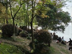-桃花岭景区