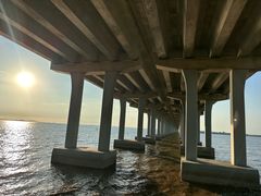 -宝安西湾红树林湿地公园