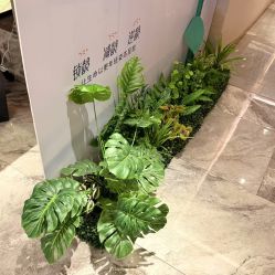 -香榭丽舍·海菲秀·皮肤管理痘敏肌修护