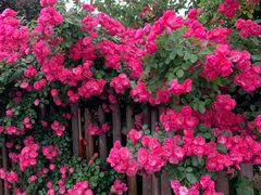 -南京市无想山景区