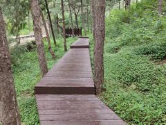 -北京十三陵国家森林公园蟒山景区