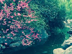 -乡党臊子面(丰庆公园店)