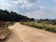 -中国香山·寿香谷