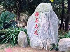 -武汉大学-樱园