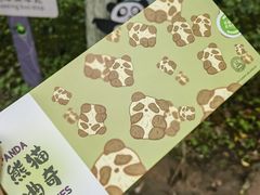 -都江堰中华大熊猫苑