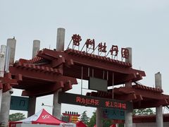 -曹州牡丹园
