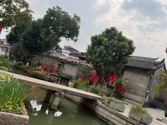 -碧江金楼