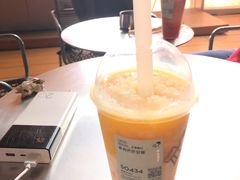 多肉芒芒甘露-喜茶(珠海华发商都店)