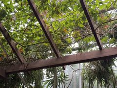 -金稼园·金平湖农家菜