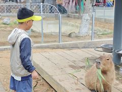 -西霞口神雕山野生动物世界
