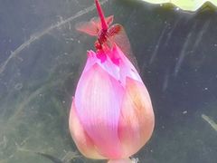 -那考河湿地公园
