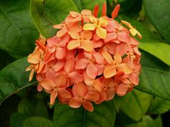 -兰陵国家农业公园