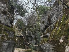 -山王坪喀斯特国家生态公园