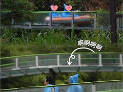 -龙井峡漂流
