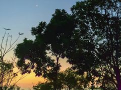 -广州市白云山风景名胜区