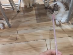-听TA说宠咖·宠物生活馆(天韵水岸店)