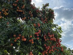 -水濂山森林公园