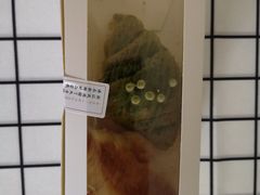 -奈雪的茶(观前街店)