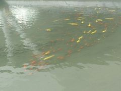 android_upload_pic-和美电影艺术中心(万国城店)