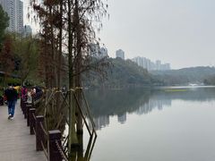 -重庆彩云湖湿地公园