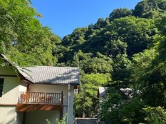 -陕西省红河谷森林公园
