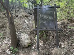 -阳台山自然风景区