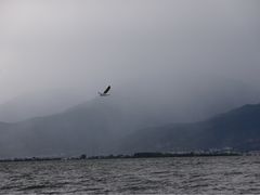 -南诏风情岛