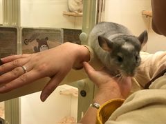 -龙猫仔乐园(惠福东路店)