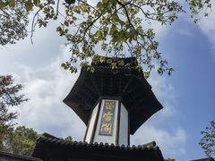 -上海佘山国家森林公园天马山园