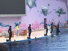 -北戴河圣蓝海洋公园