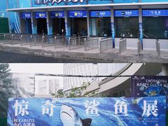 -重庆欢乐海底世界