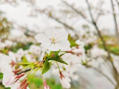 -上海植物园-4号门售票处