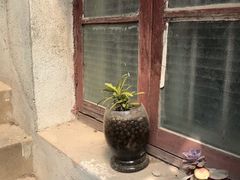 -二楼南书房
