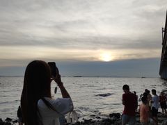 -宝安西湾红树林湿地公园