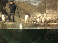 -成都浩海立方海洋公园