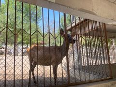 -石家庄市动物园