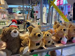 -南京时尚莱迪购物广场(正洪街店)