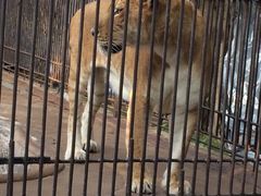 -广东茂名森林公园