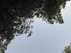 -罔极寺