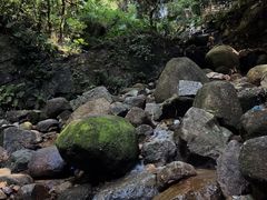 -火炉山森林公园